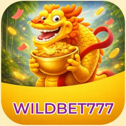 Comparação APP mobile vs versão web da WILDBET777